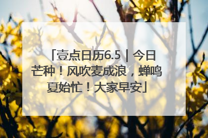 壹点日历6.5｜今日芒种！风吹麦成浪，蝉鸣夏始忙！大家早安