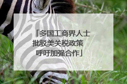 多国工商界人士批驳美关税政策 呼吁加强合作