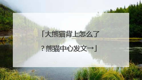 大熊猫背上怎么了？熊猫中心发文→