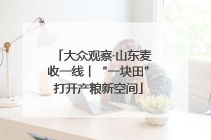 大众观察·山东麦收一线丨“一块田”打开产粮新空间