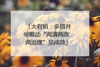 大有镇：多措并举推动“两清两改两治理”见成效
