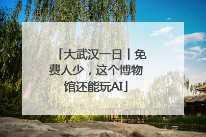 大武汉一日丨免费人少，这个博物馆还能玩AI