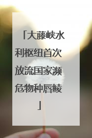 大藤峡水利枢纽首次放流国家濒危物种唇鲮