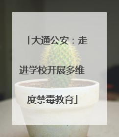 大通公安：走进学校开展多维度禁毒教育