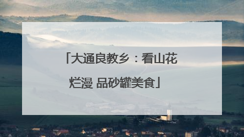 大通良教乡：看山花烂漫 品砂罐美食