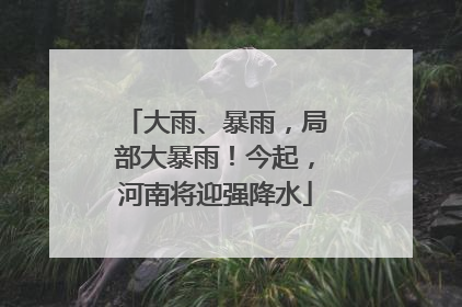 大雨、暴雨，局部大暴雨！今起，河南将迎强降水