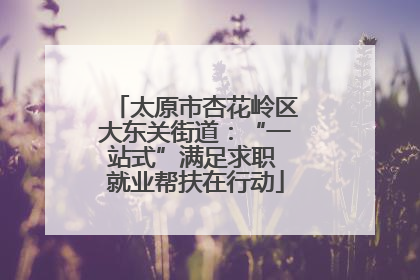 太原市杏花岭区大东关街道：“一站式”满足求职 就业帮扶在行动