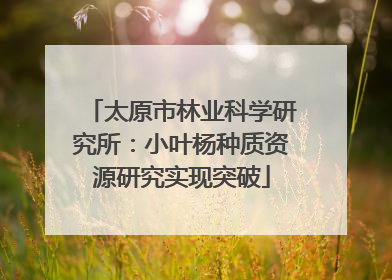 太原市林业科学研究所：小叶杨种质资源研究实现突破