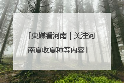 央媒看河南｜关注河南夏收夏种等内容