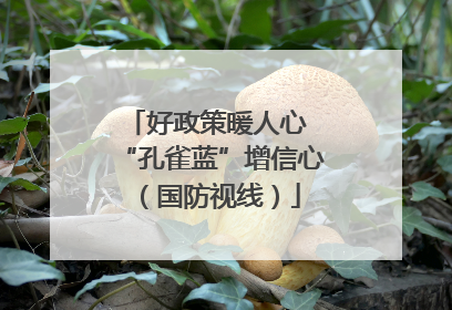 好政策暖人心 “孔雀蓝”增信心（国防视线）