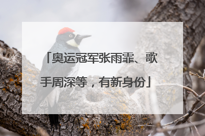 奥运冠军张雨霏、歌手周深等，有新身份