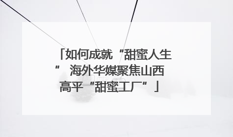 如何成就“甜蜜人生” 海外华媒聚焦山西高平“甜蜜工厂”
