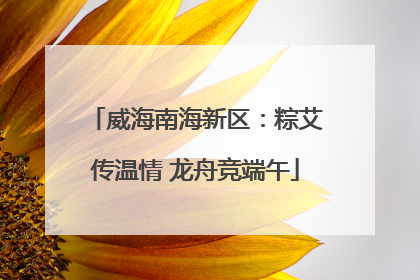 威海南海新区：粽艾传温情 龙舟竞端午