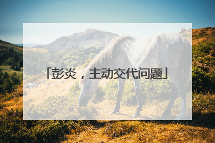 彭炎，主动交代问题