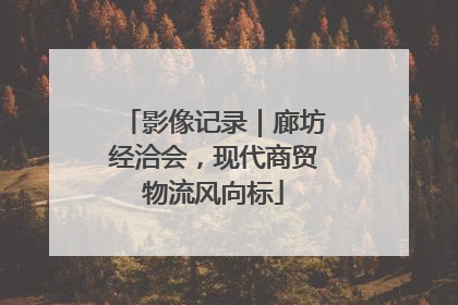 影像记录｜廊坊经洽会，现代商贸物流风向标