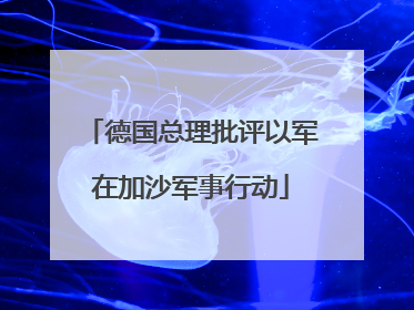 德国总理批评以军在加沙军事行动