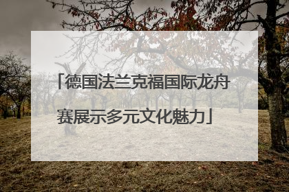 德国法兰克福国际龙舟赛展示多元文化魅力
