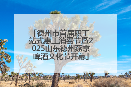 德州市首届职工一站式惠工消费节暨2025山东德州燕京啤酒文化节开幕