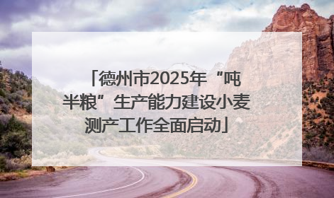 德州市2025年“吨半粮”生产能力建设小麦测产工作全面启动