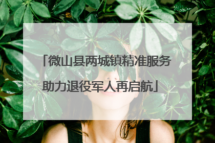 微山县两城镇精准服务助力退役军人再启航