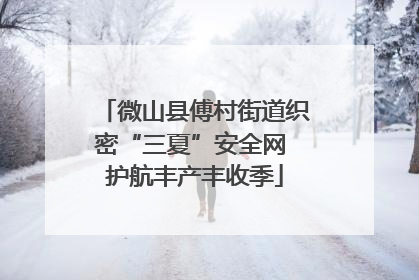 微山县傅村街道织密“三夏”安全网 护航丰产丰收季