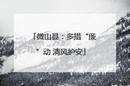 微山县：多措“廉”动 清风护安