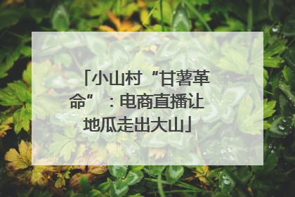 小山村“甘薯革命”：电商直播让地瓜走出大山