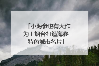小海参也有大作为！烟台打造海参特色城市名片