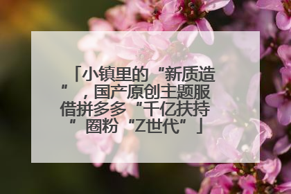 小镇里的“新质造”，国产原创主题服借拼多多“千亿扶持”圈粉“Z世代”