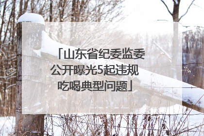 山东省纪委监委公开曝光5起违规吃喝典型问题