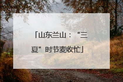 山东兰山：“三夏”时节麦收忙