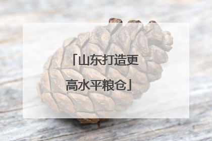 山东打造更高水平粮仓