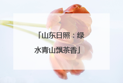 山东日照：绿水青山飘茶香