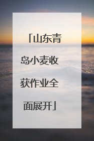 山东青岛小麦收获作业全面展开