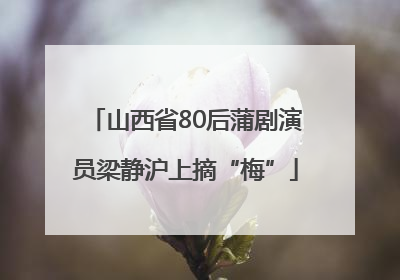 山西省80后蒲剧演员梁静沪上摘“梅”