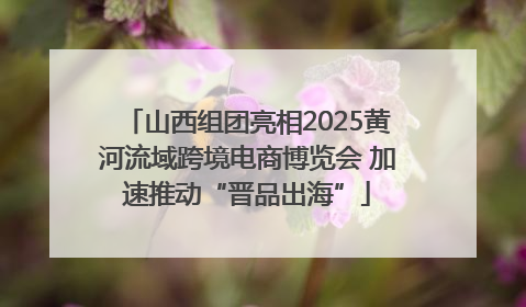 山西组团亮相2025黄河流域跨境电商博览会 加速推动“晋品出海”
