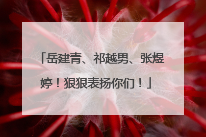 岳建青、祁越男、张煜婷！狠狠表扬你们！