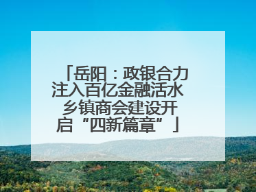 岳阳：政银合力注入百亿金融活水 乡镇商会建设开启“四新篇章”