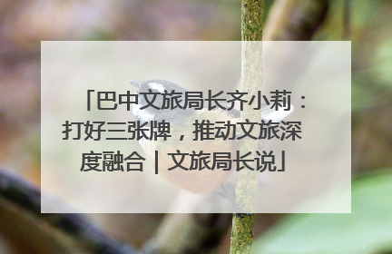 巴中文旅局长齐小莉：打好三张牌，推动文旅深度融合｜文旅局长说