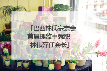 巴西林氏宗亲会首届理监事就职 林伟萍任会长