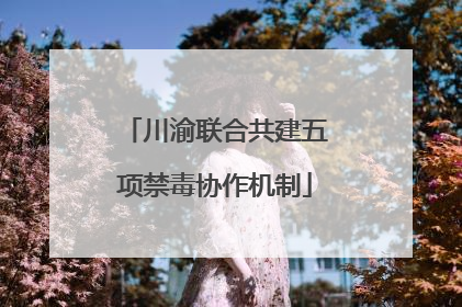 川渝联合共建五项禁毒协作机制