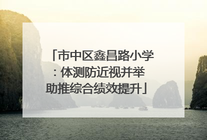 市中区鑫昌路小学：体测防近视并举 助推综合绩效提升