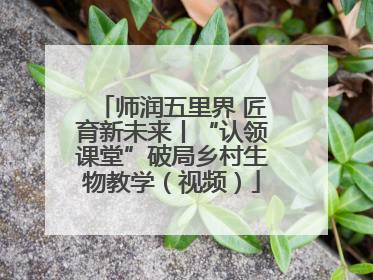 师润五里界 匠育新未来丨“认领课堂”破局乡村生物教学（视频）