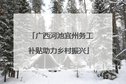 广西河池宜州务工补贴助力乡村振兴