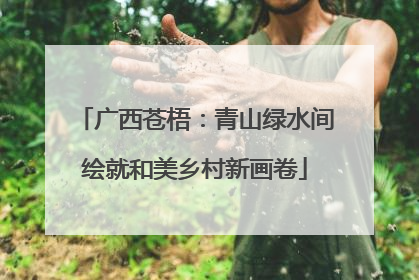 广西苍梧：青山绿水间绘就和美乡村新画卷