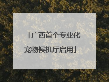 广西首个专业化宠物候机厅启用