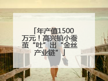 年产值1500万元！高兴镇小蚕茧“吐”出“金丝产业链”