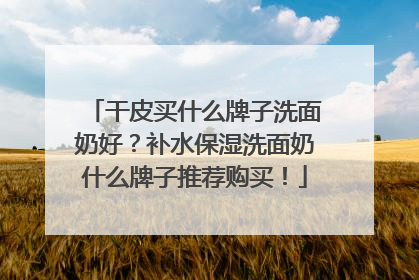 干皮买什么牌子洗面奶好？补水保湿洗面奶什么牌子推荐购买！