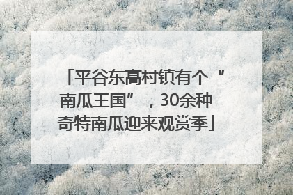 平谷东高村镇有个“南瓜王国”，30余种奇特南瓜迎来观赏季