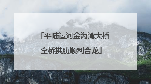 平陆运河金海湾大桥全桥拱肋顺利合龙